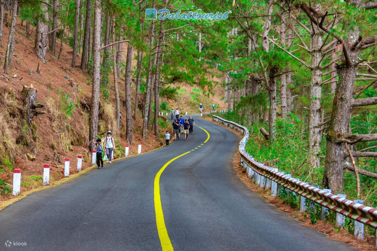 [KLOOK限定] ダラット・ランビアン山 入場チケット